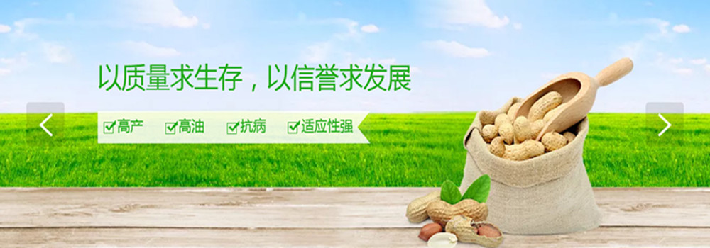 活动图1