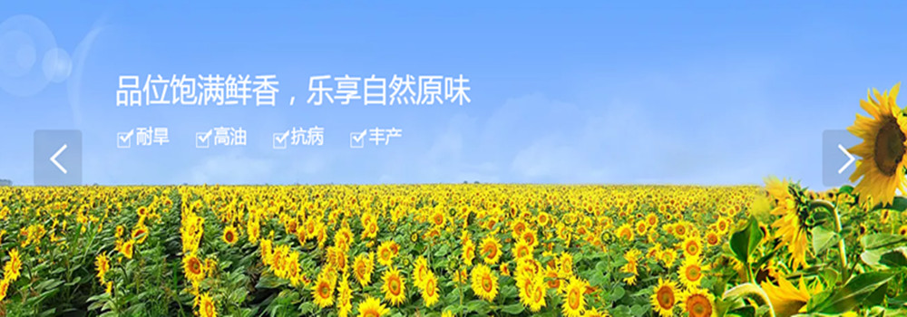 活动图2
